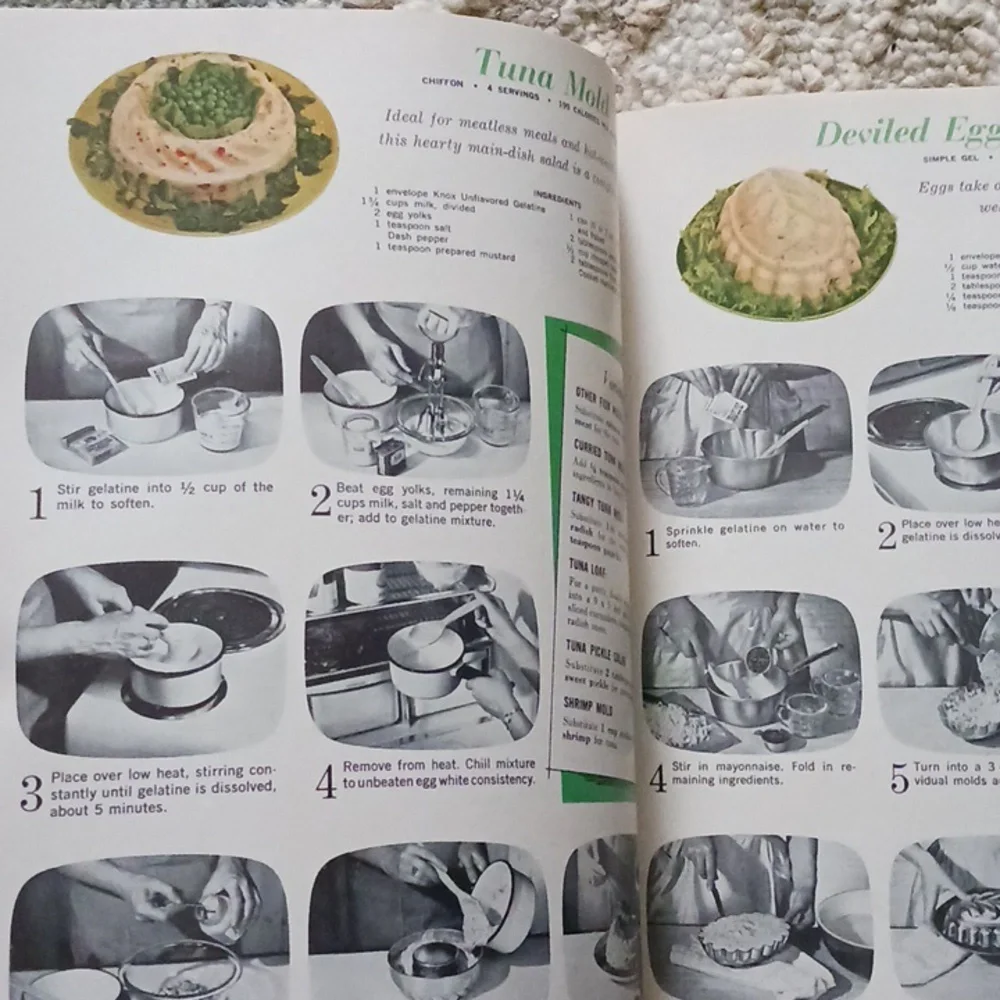 KNOX On Camera Recipes Vintage 1963 Gelatin Cookbook RETRO Photos Salads